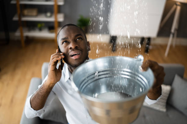 Best Local water damage restoration  in Ormond Beach, FL