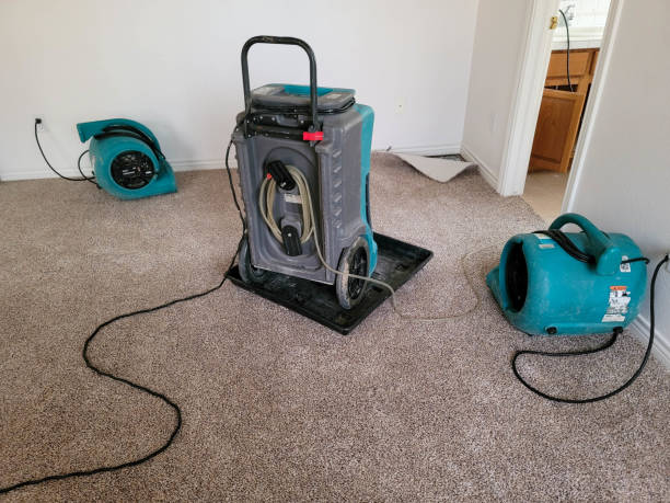 Best Water damage restoration near me  in Ormond Beach, FL