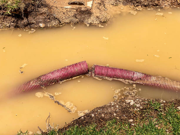 Best Mold removal after water damage  in Ormond Beach, FL