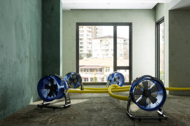 Best Water damage cleanup near me  in Ormond Beach, FL